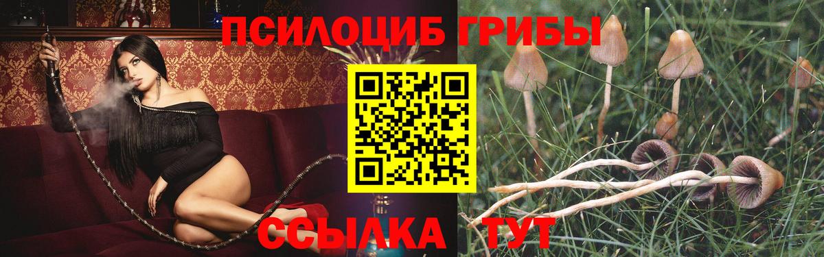 Галлюциногенные грибы Magic Shrooms  Вход с VPN  Галлюциногенные грибы MAGIC MUSHROOMS  Саров 